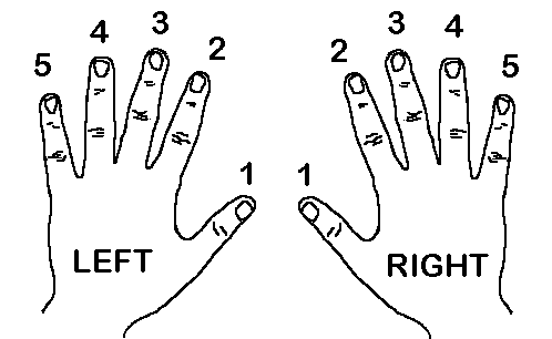 hands