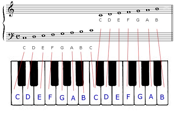 Staff diagram